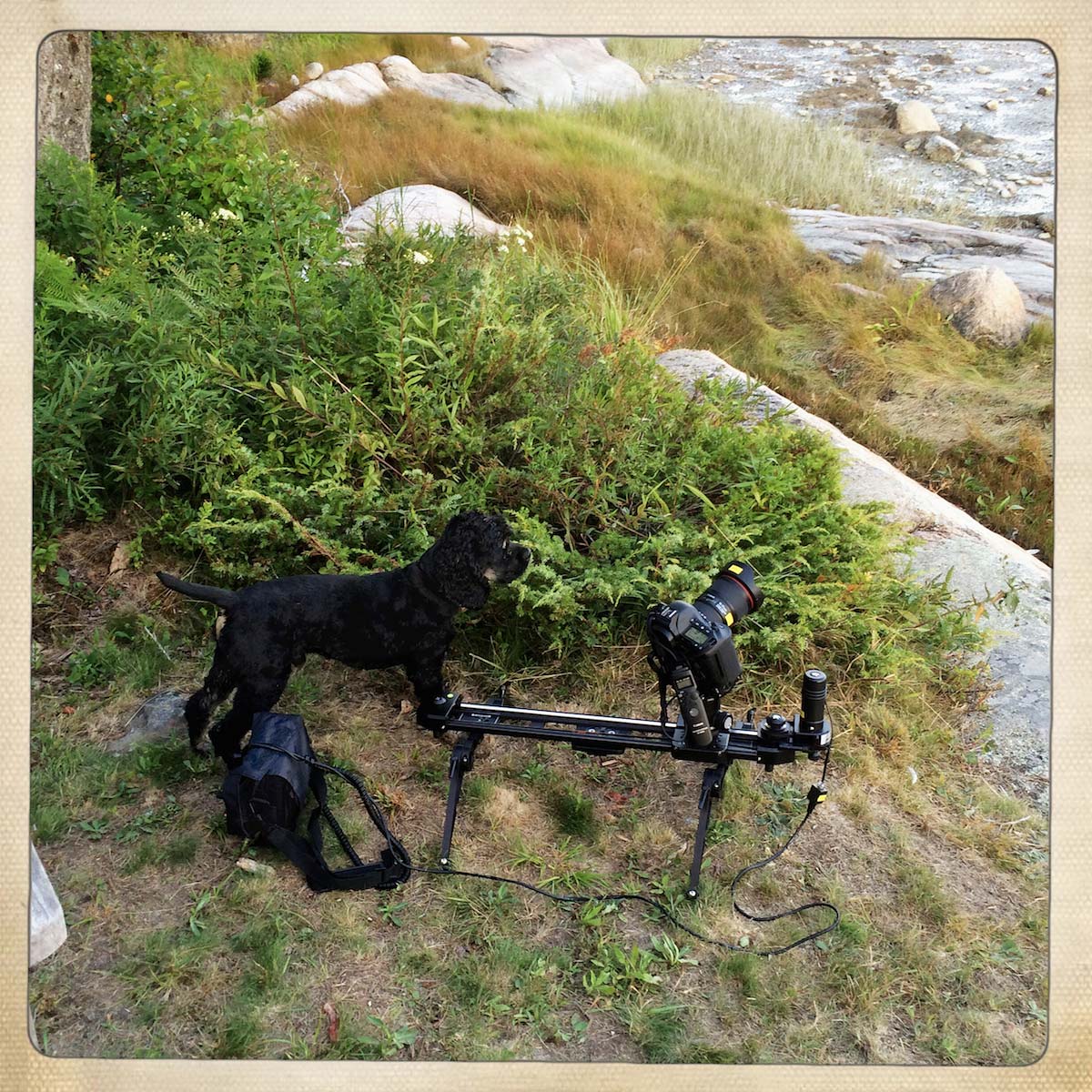 Caesar does a time-lapse. Deer Isle, ME. August, 2014.