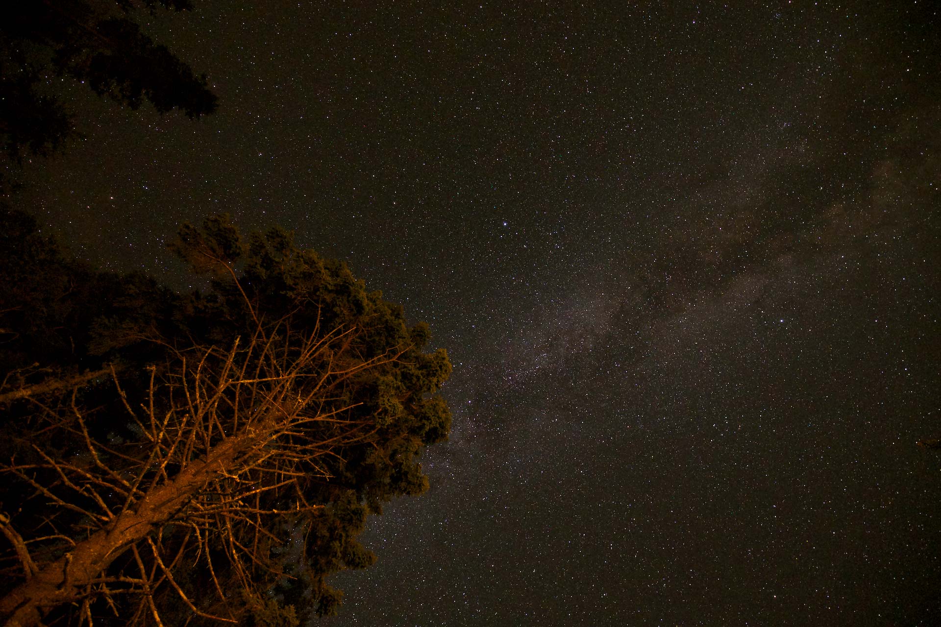 Still frame, nighttime sky. Deer Isle, ME. August, 2014.