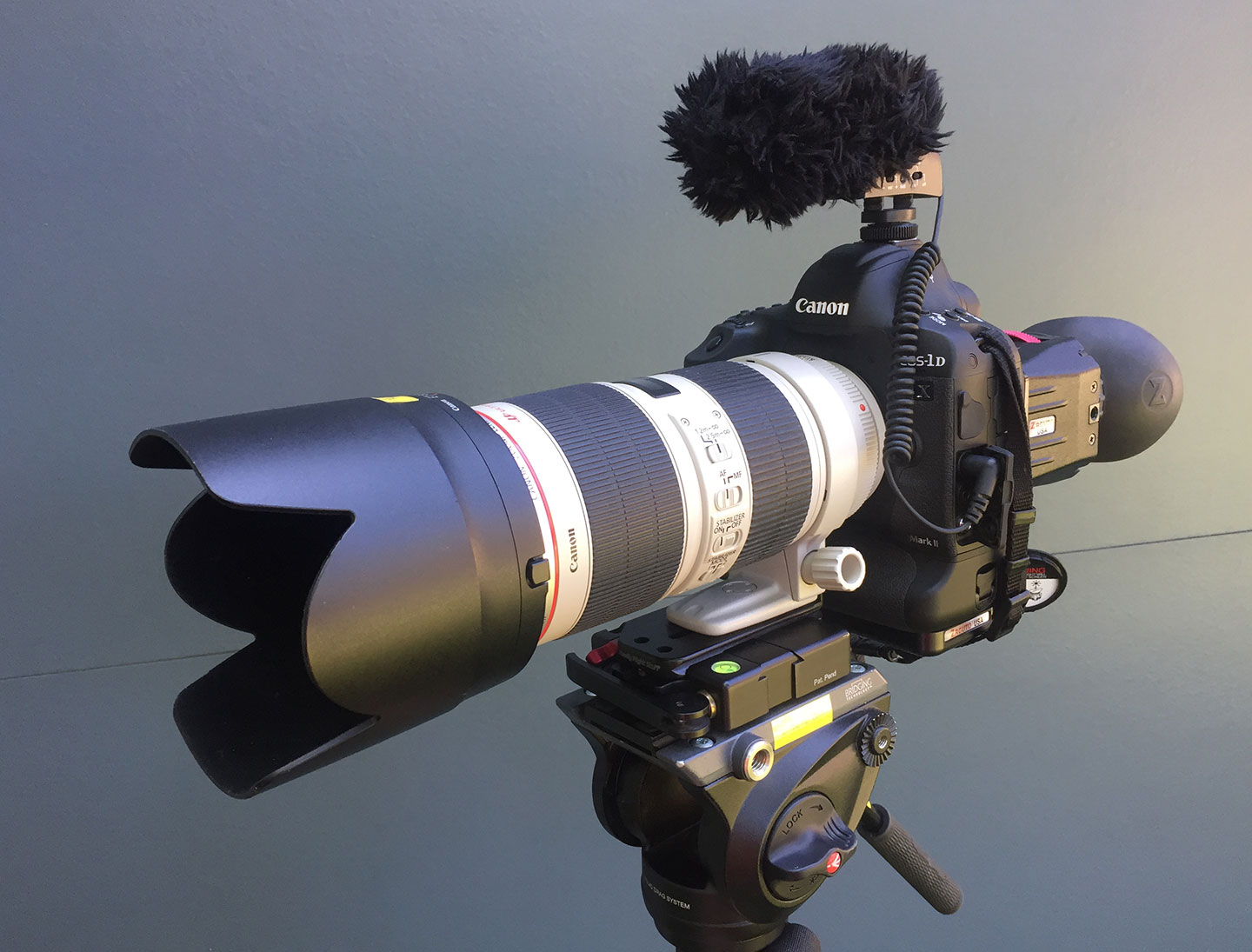 Setup used for was the Canon 1DX Mark II with 80-200 f/2.8L IS II, Sennheiser MKE 400, and Zacuto Z-finder on a Manfrotto Monopod.