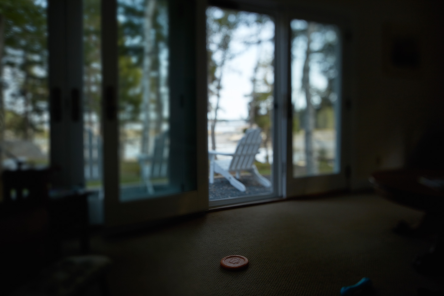 Dog toys. Fish Creek Cove. Canon 5DS R with the 24mm TSE II lens. Deer Isle, ME. August, 2015.