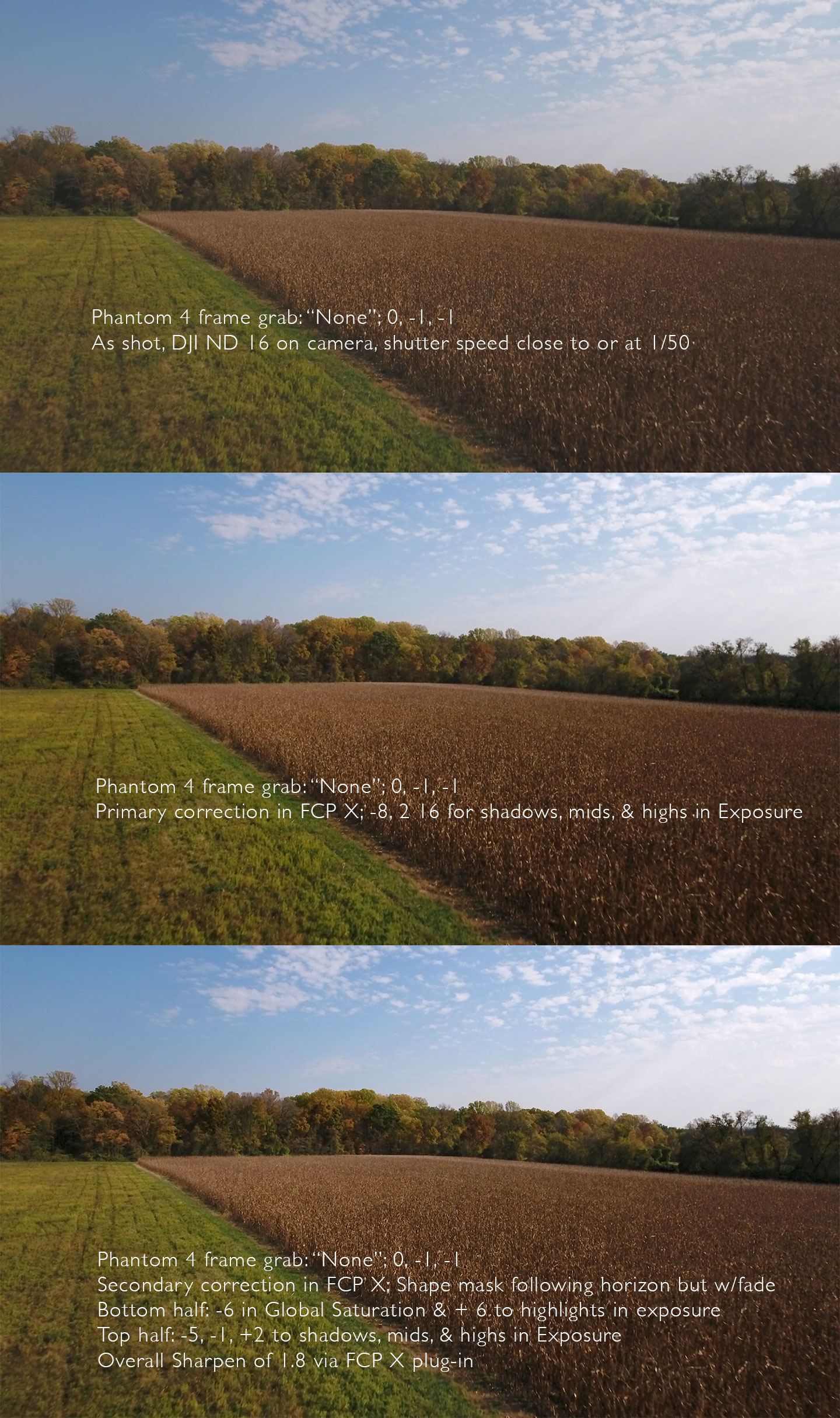 Breakdown of post in FCP X on clip from Into the Woods @ 00:35:21 mark. As shot, primary, and secondary corrections shown. Secondary lowers saturation on bottom half; darkens and adds slight contrast to sky in upper half; adds contrast, brightness, and tonal range to bottom half, drawing the eye there.