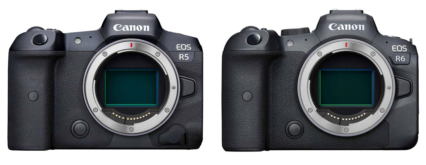 The Canon EOS R5… AKA the EOS R Review I Never Did – RoemerFilm Blog