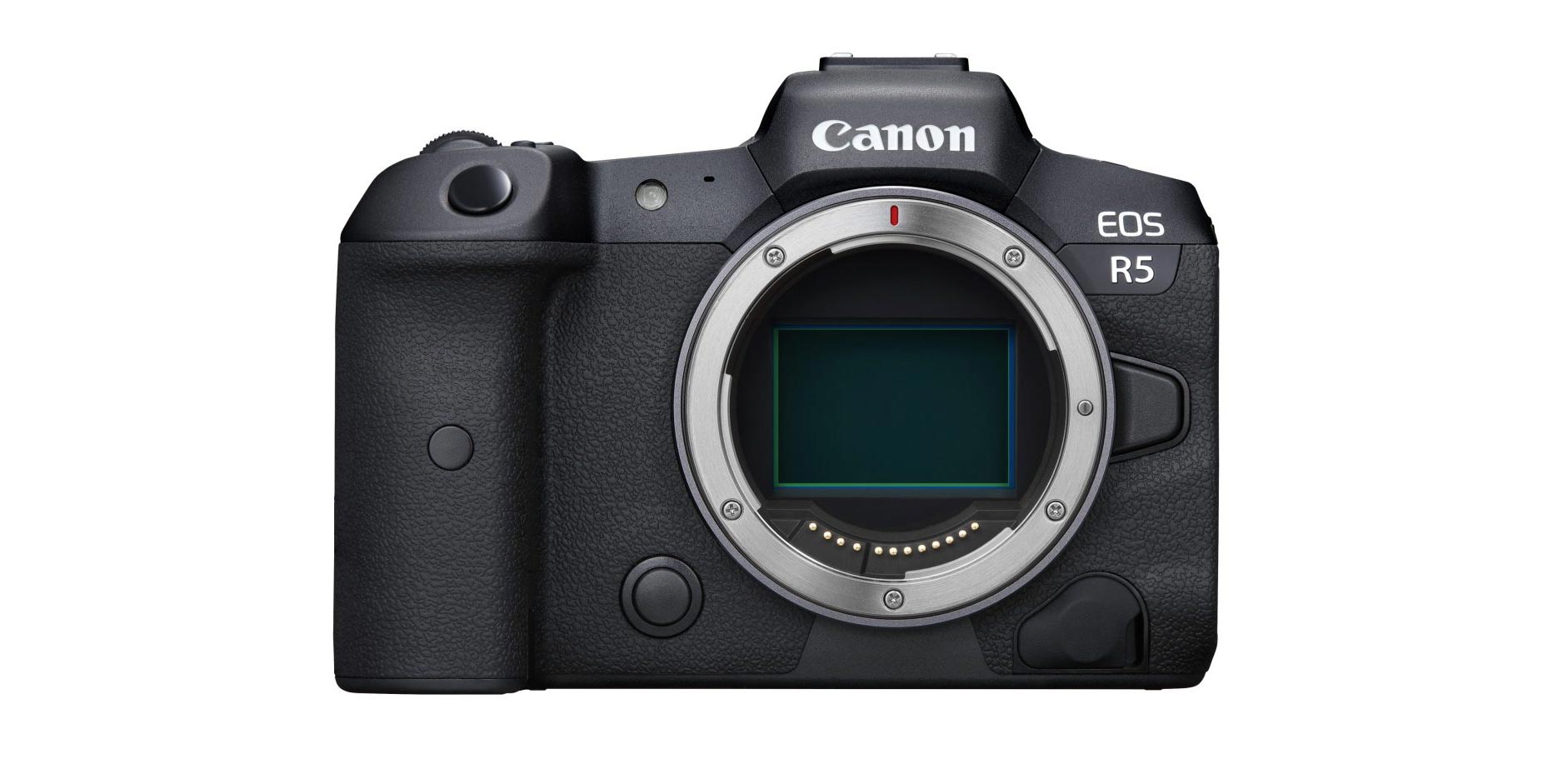 First shoot with the Canon EOS R6 Mark II - Canon Georgia
